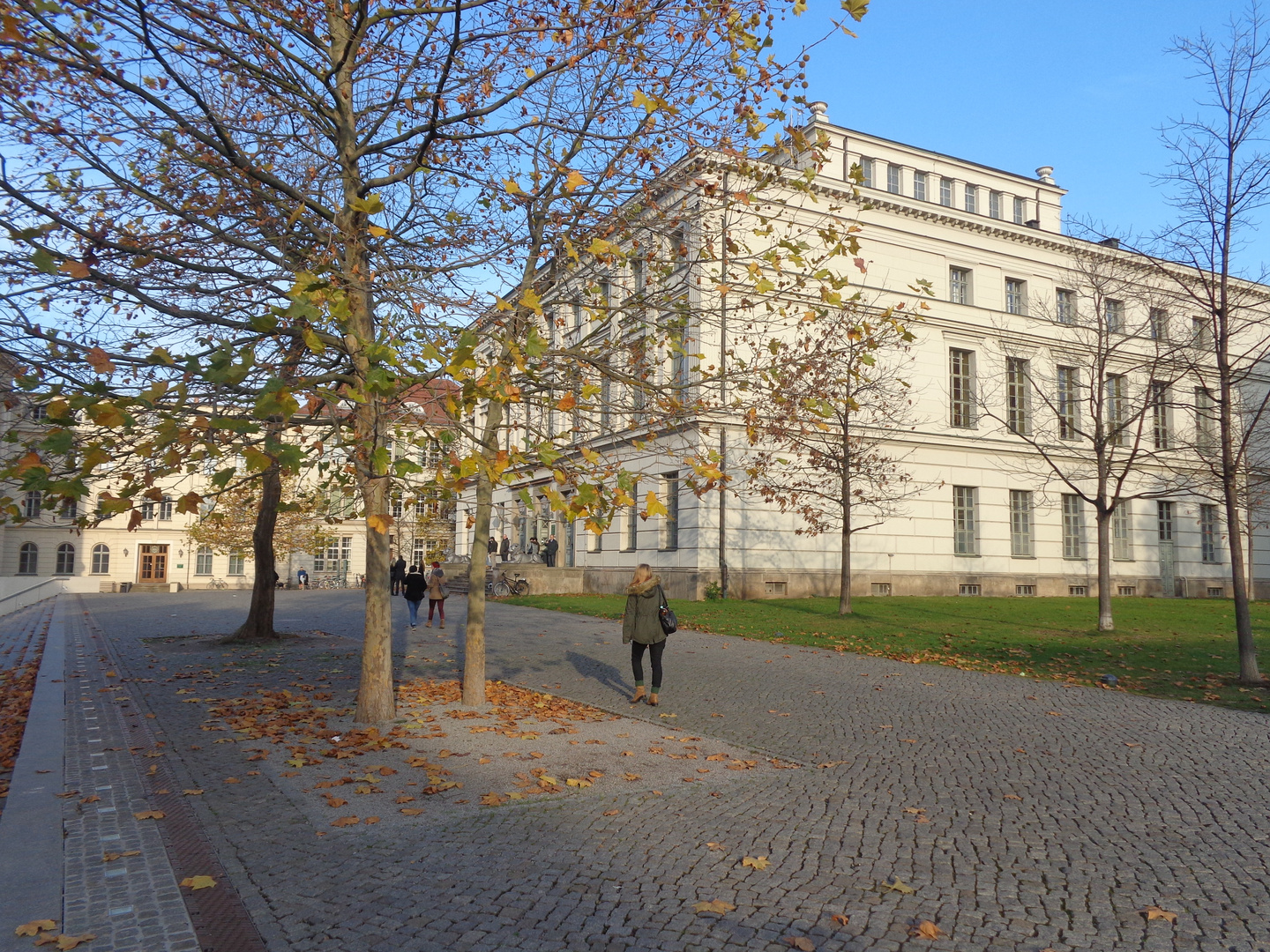 Martin Luther Universität --Halle-Wittenberg