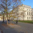 Martin Luther Universität --Halle-Wittenberg