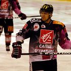 martin tomasek ,amiens gothiques