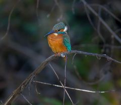 Martine au bord de la rivière