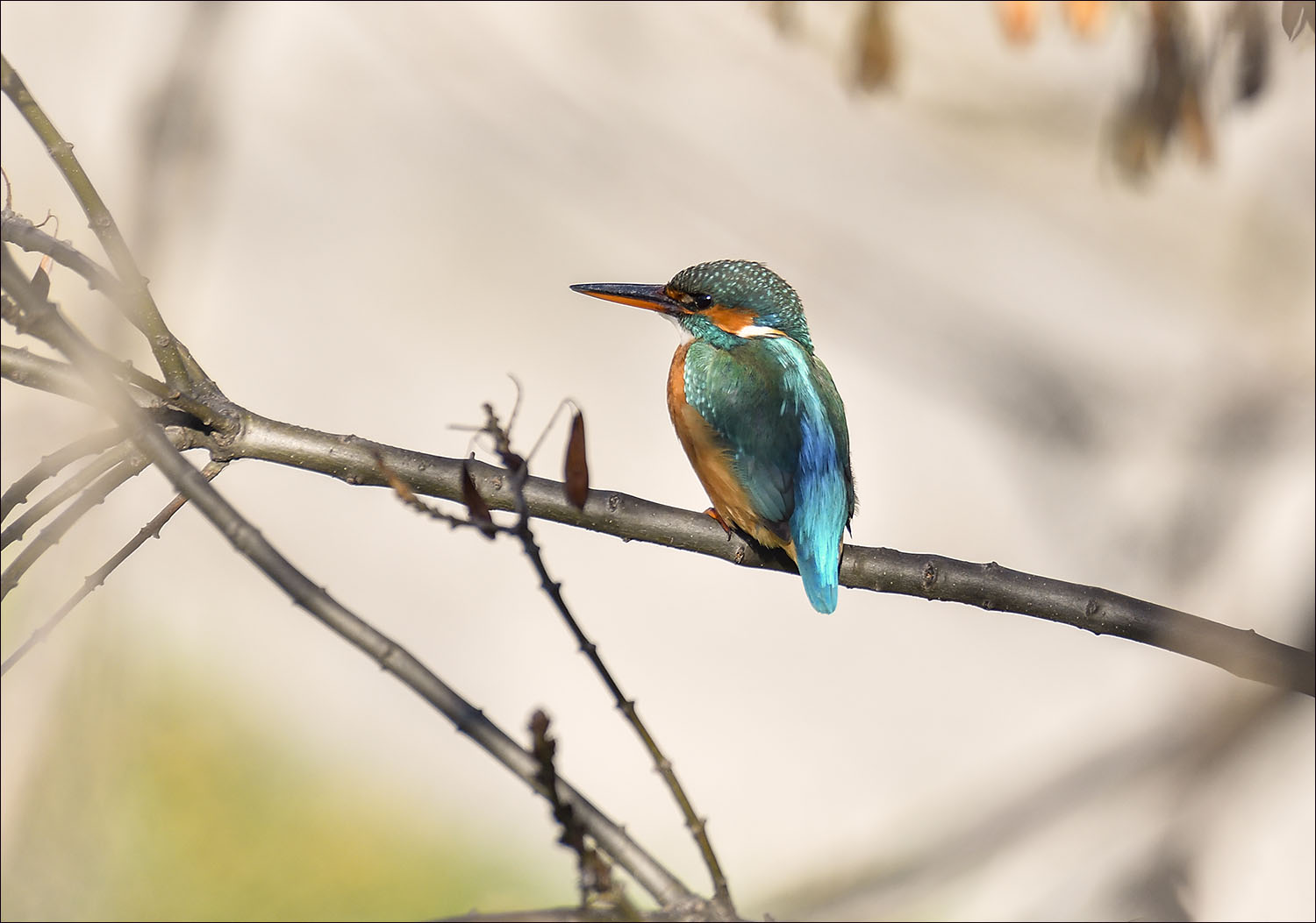 Martine ce matin au bord de la rivière