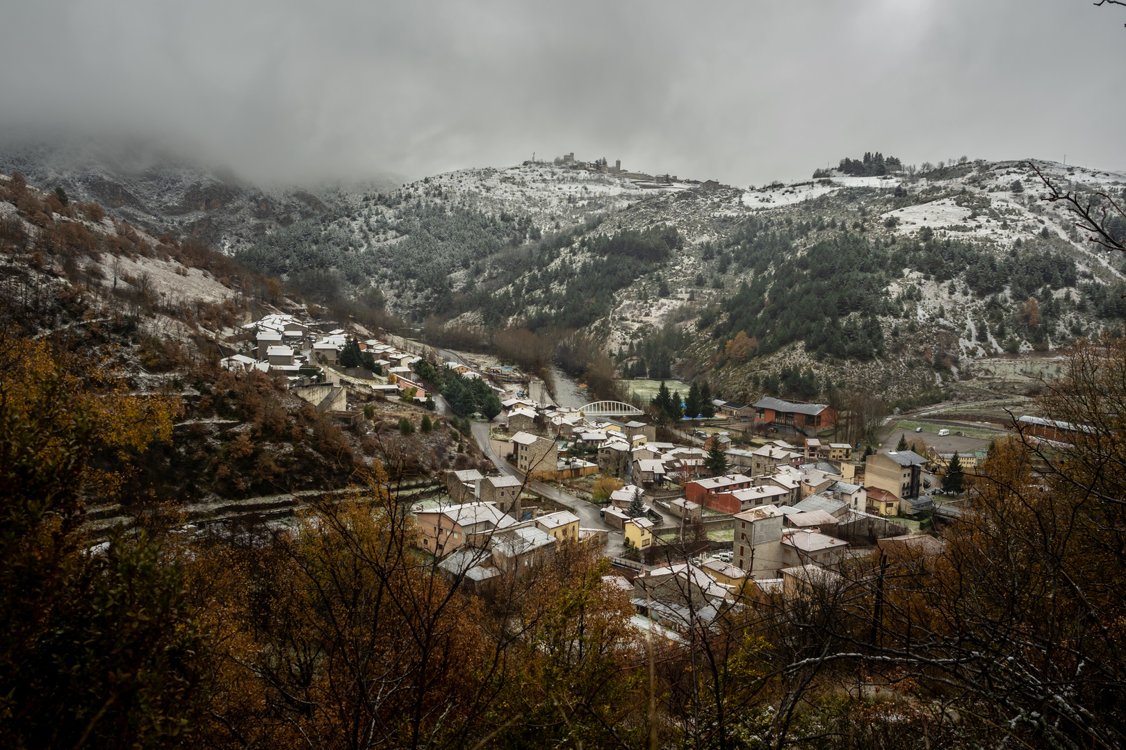 Martinet de Cerdanya