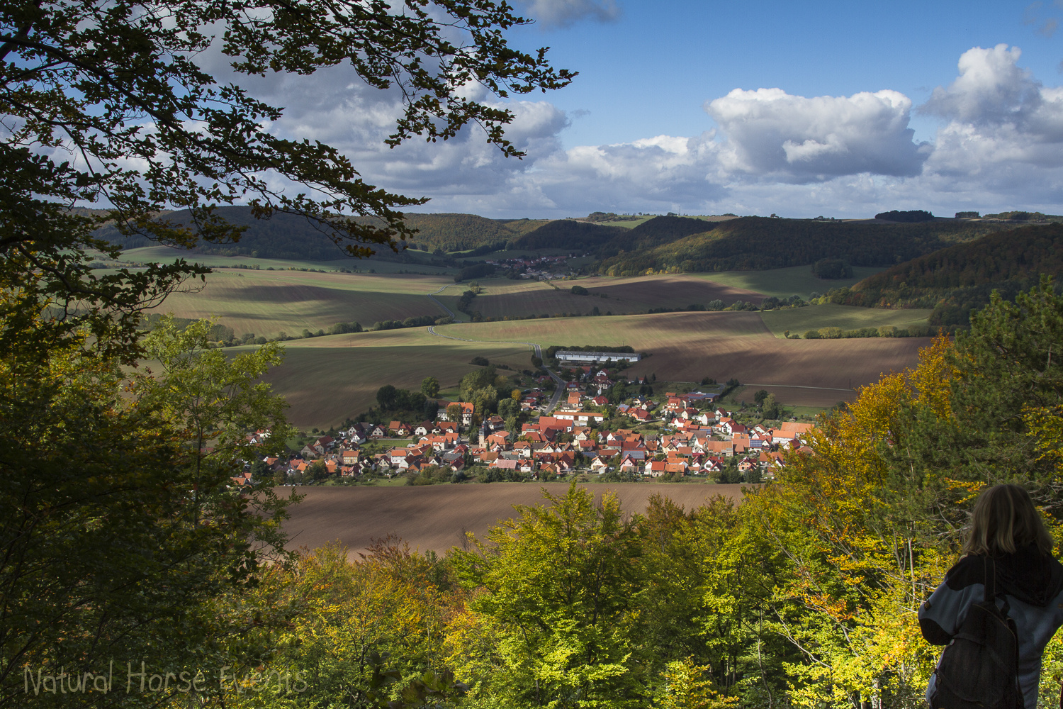 Martinfeldfenster