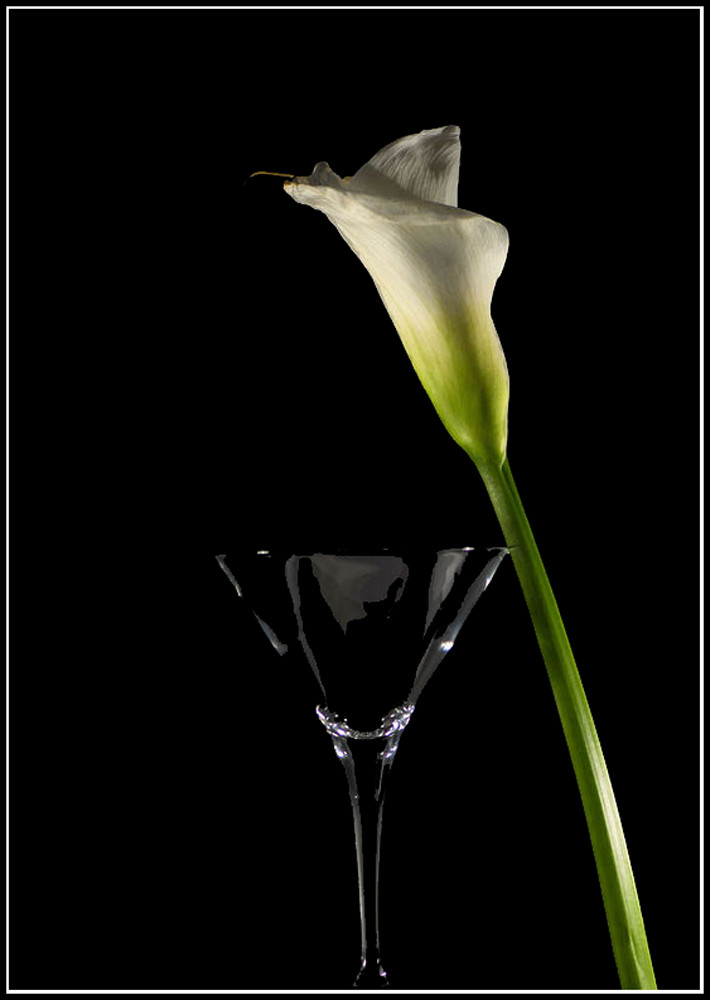 Martini mit Calla