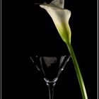 Martini mit Calla