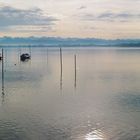 Martini-Sommer am Pfäffikersee