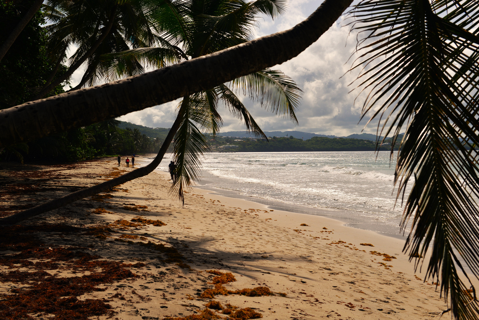 Martinique