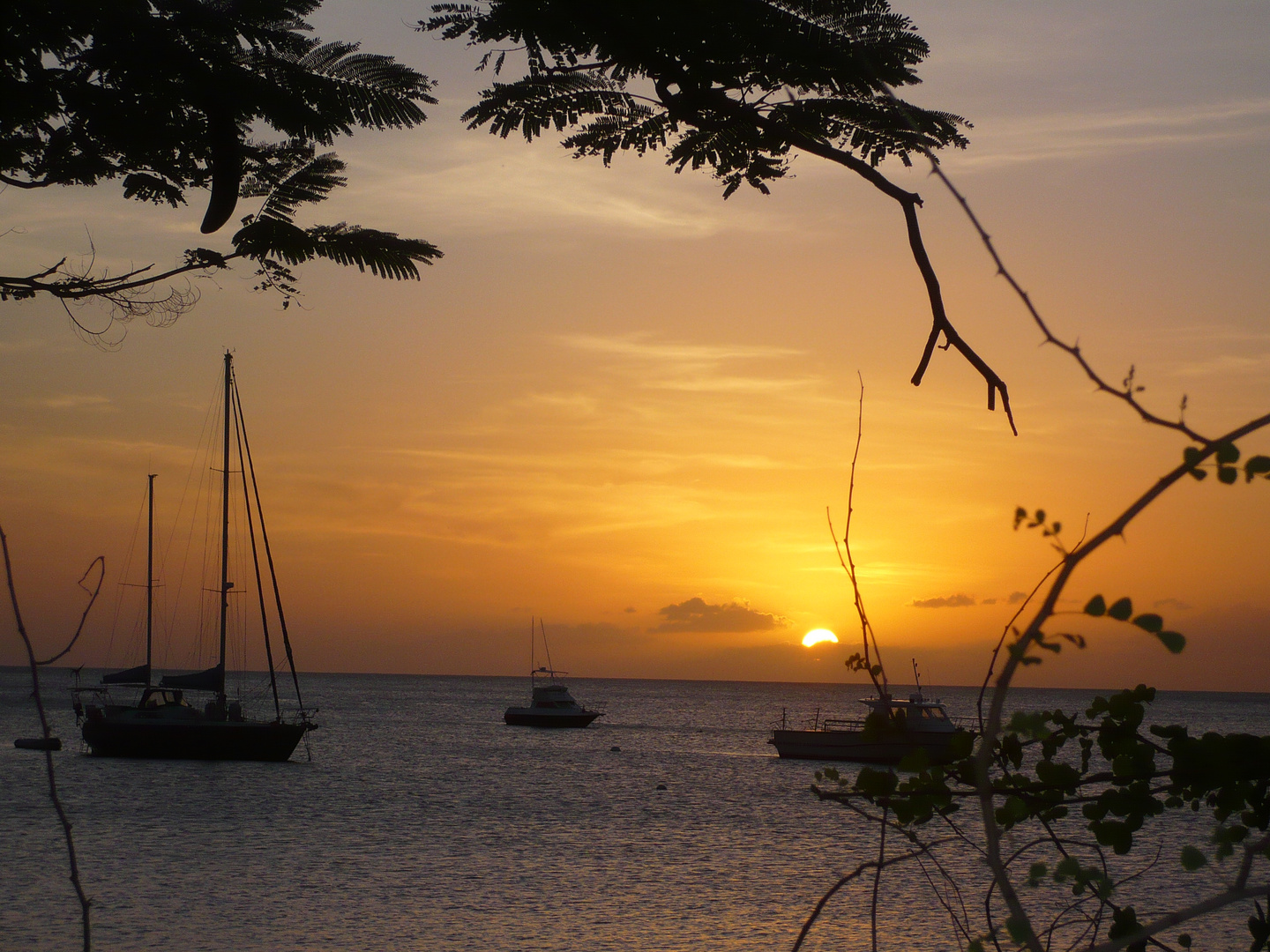 Martinique