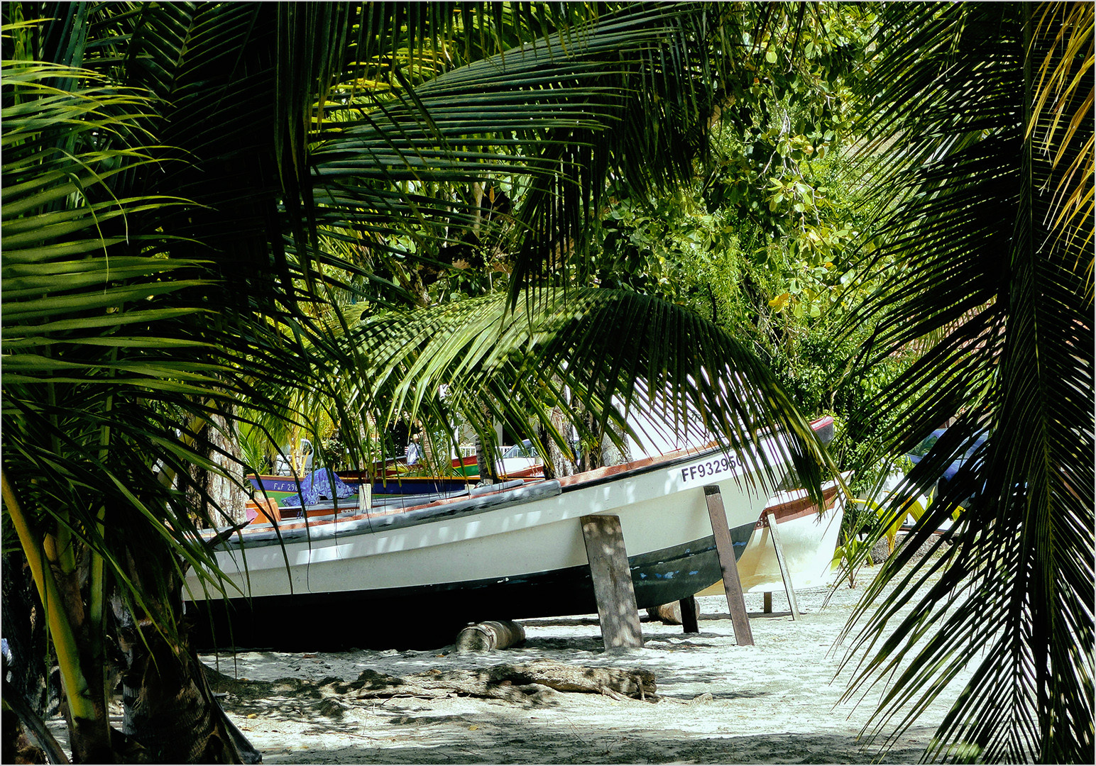 Martinique-Anse à l'âne.2012