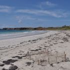 MARTINIQUE - ANSE TRABAUD