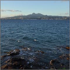 MARTINIQUE - BAIE DE FORT DE FRANCE