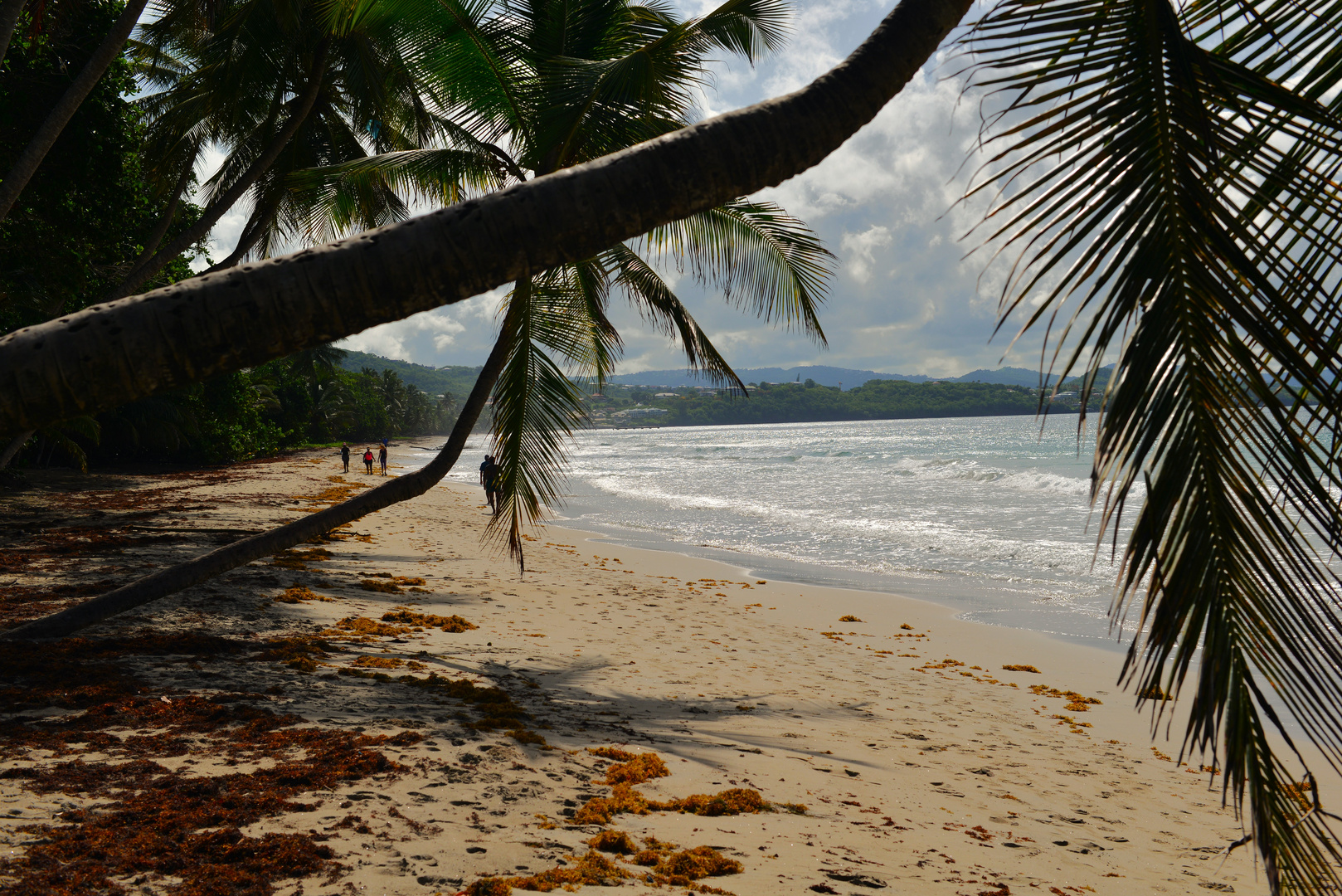 Martinique