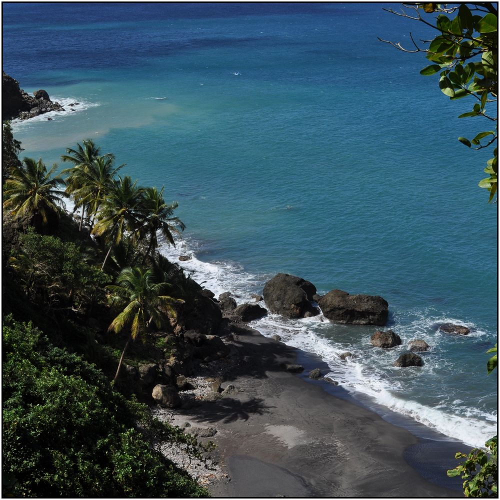 MARTINIQUE - GRAND RIVIERE - PLAGE DE SABLE NOIR