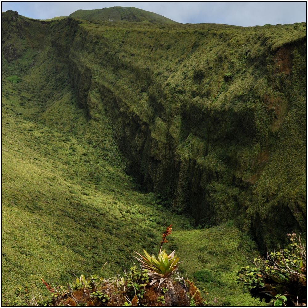 MARTINIQUE - MONTAGNE PELEE - CRATERE