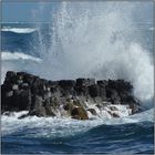 MARTINIQUE - ROCHER ET MER DECHAINEE AU CAP FERRE