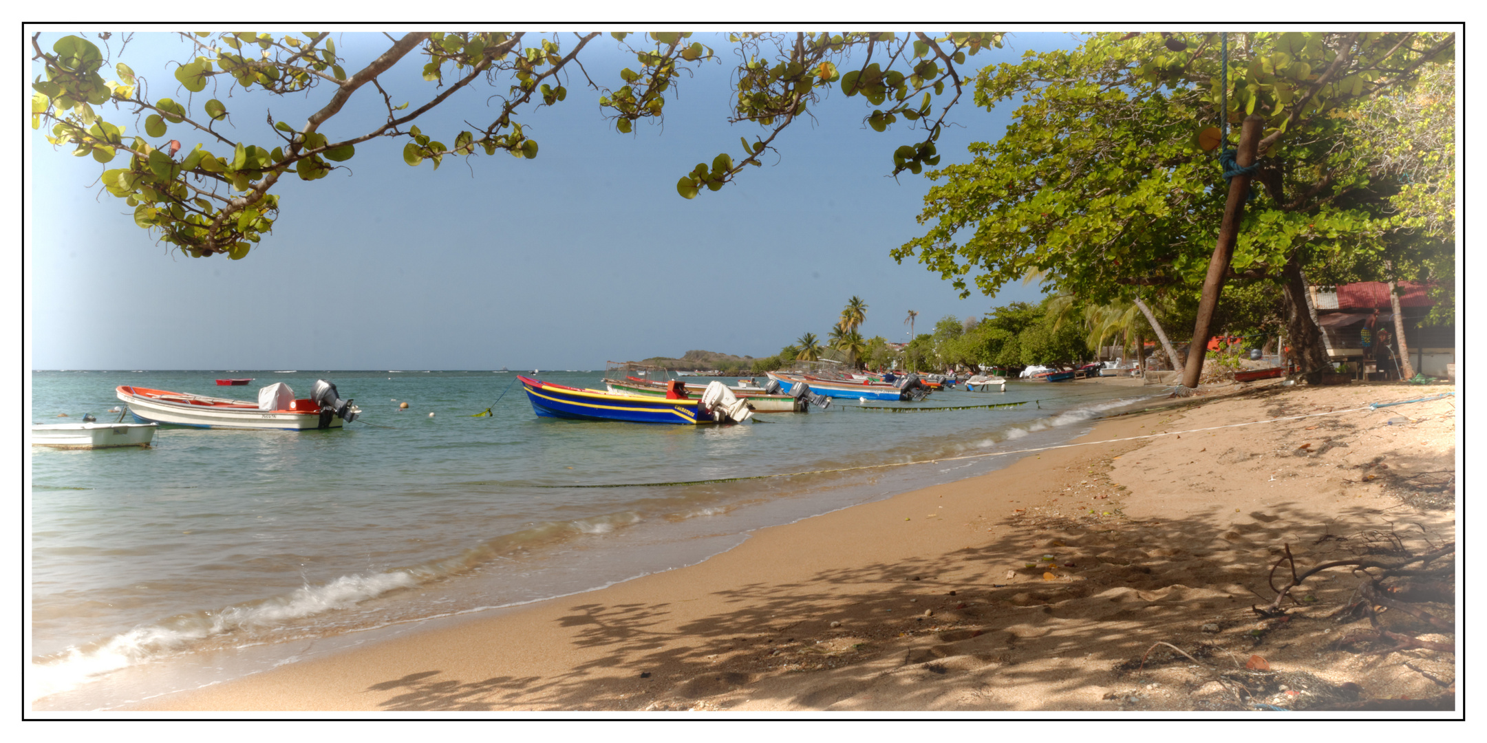 Martinique - Souvenir de vacance