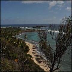 MARTINIQUE - TRACE DES CAPS - ANSE LA BALLE