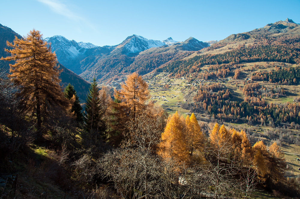 Martinisommer (fast-Ende) Foto & Bild | europe, schweiz & liechtenstein,  kt. wallis valais Bilder auf fotocommunity