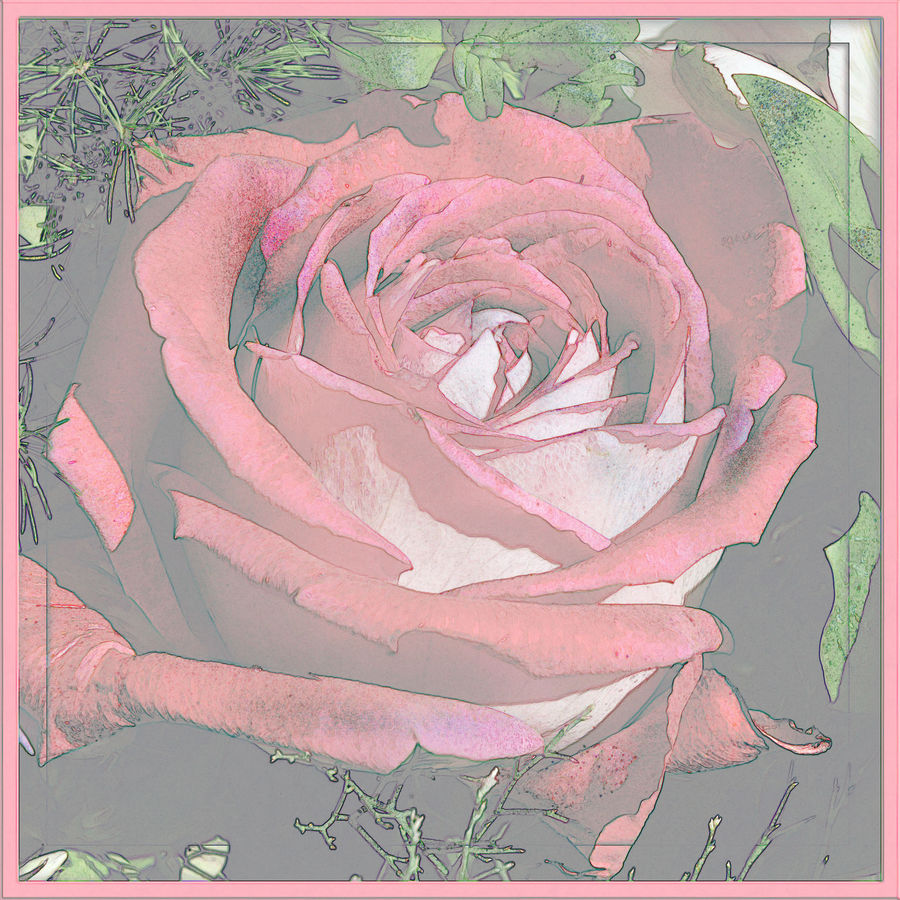 ~ marvelous marble rose ~