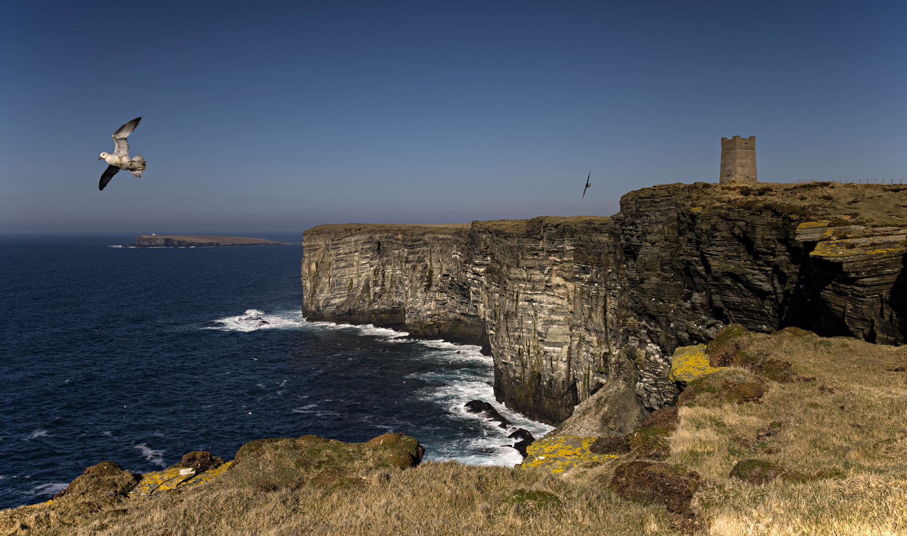 Marwick Head 