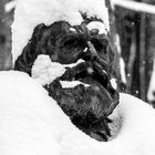 Marx im Schneekostüm