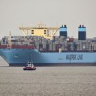 MARY MAERSK