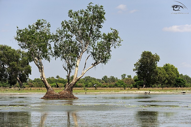 Mary River Nationalpark