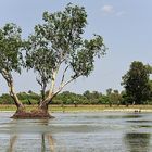 Mary River Nationalpark