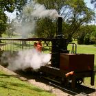 Maryborough Steam