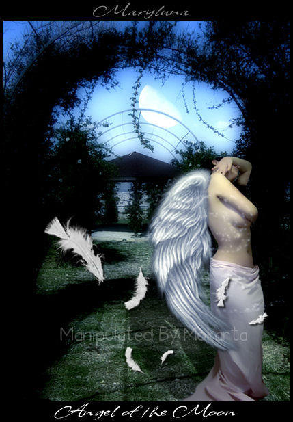 Maryluna - Angel of the Moon