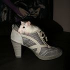 Mary´s schuh