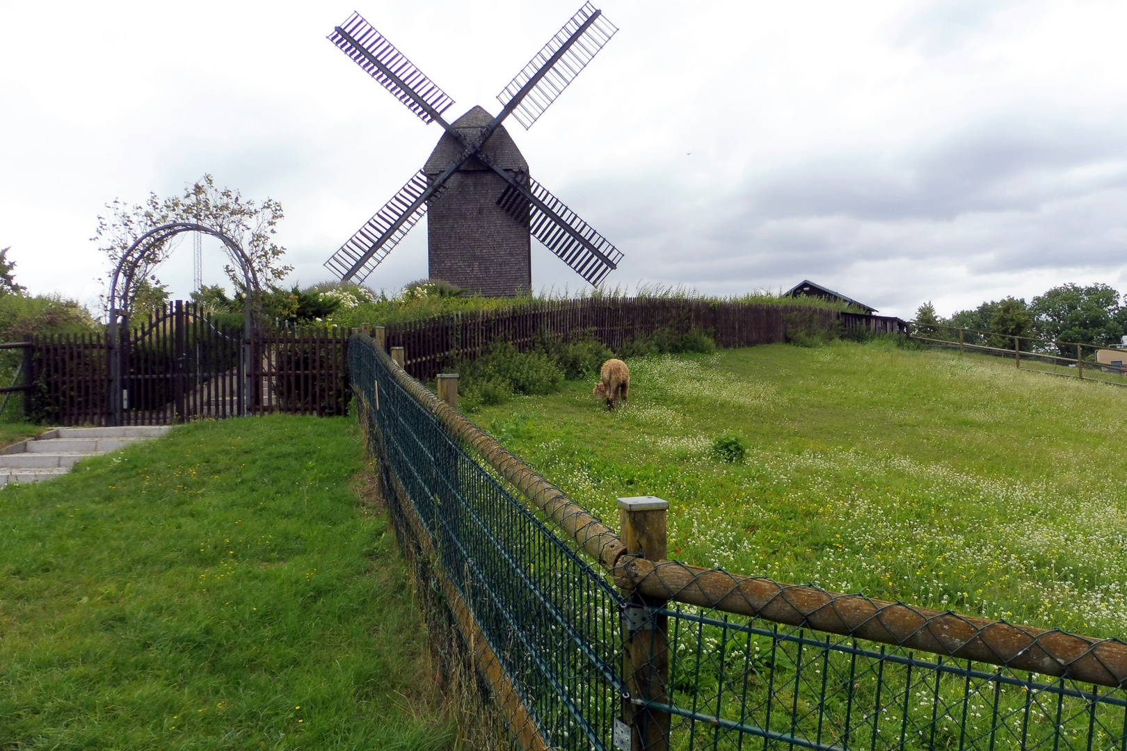 Marzahner Bockwindmühle - hintere Ansicht;