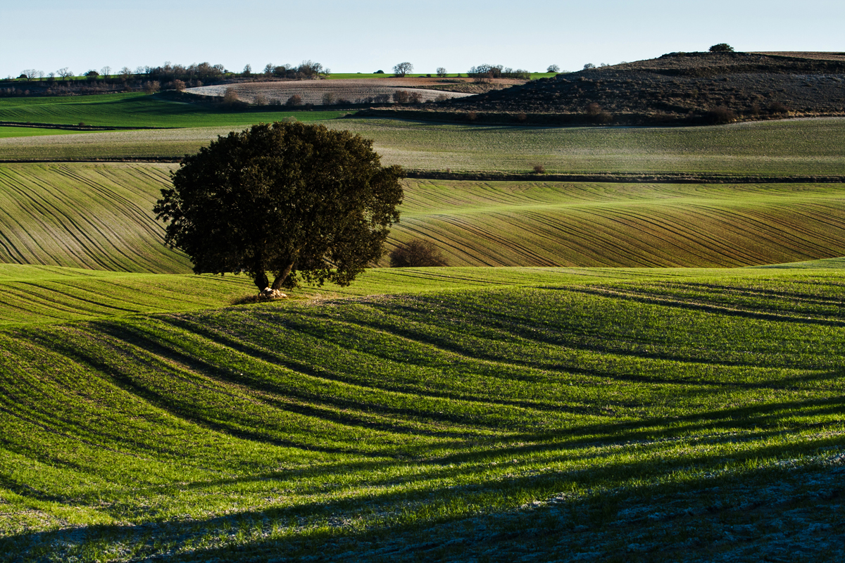 Marzo marca la llegada de la primavera