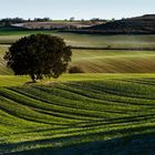 Marzo marca la llegada de la primavera