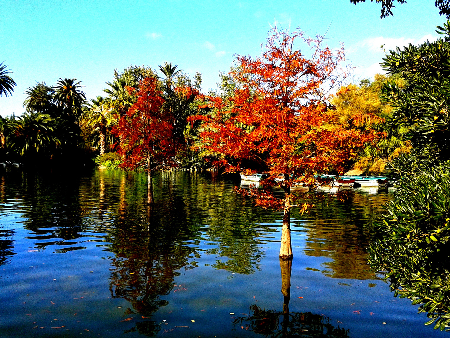 Mas colores vivos se nota que es otoño