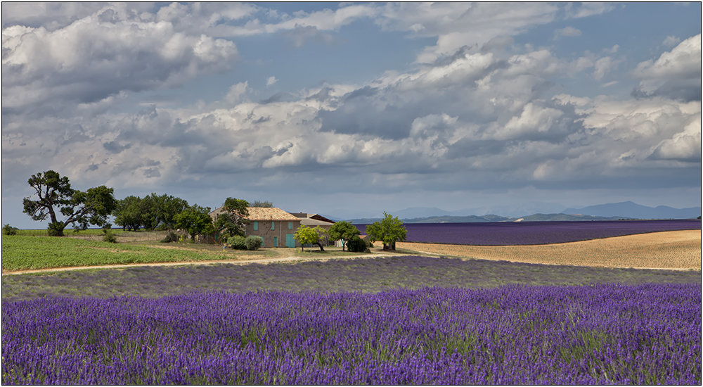 Mas en Provence