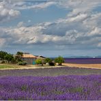 Mas en Provence