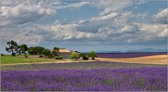 Mas en Provence