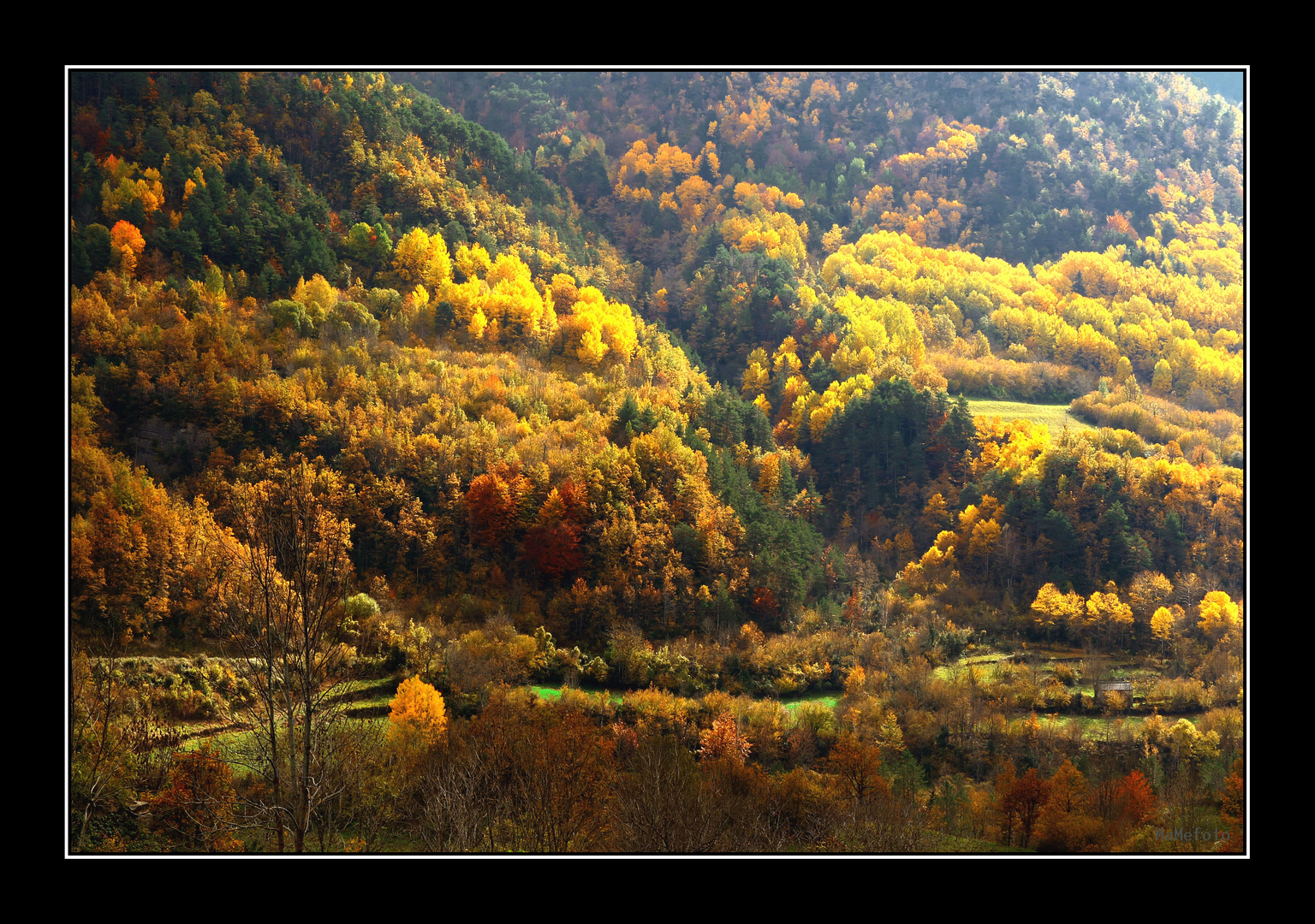 Mas otoño