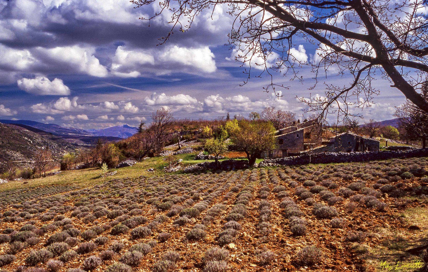 Mas provençal 