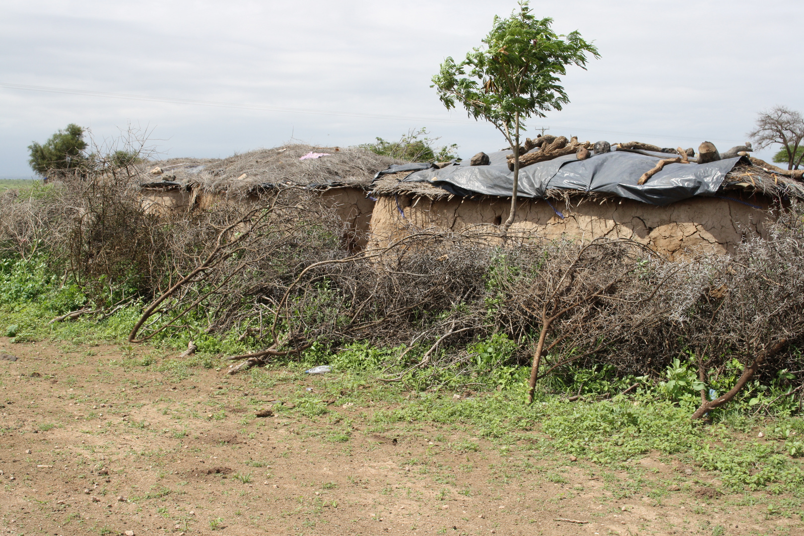 Masai-Dorf in Kenia