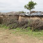 Masai-Dorf in Kenia