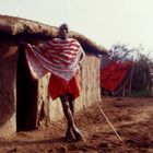 Masai Hirte