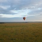 Masai Mara