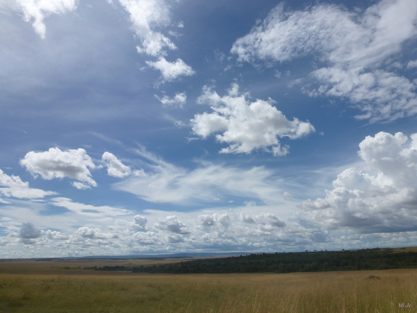 Masai Mara