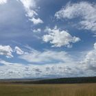 Masai Mara