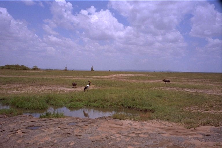 Masai Mara