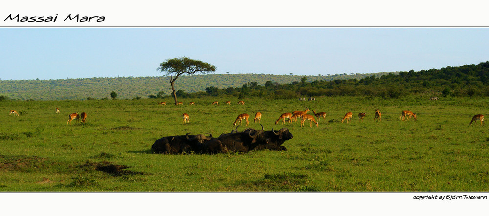 Masai Mara