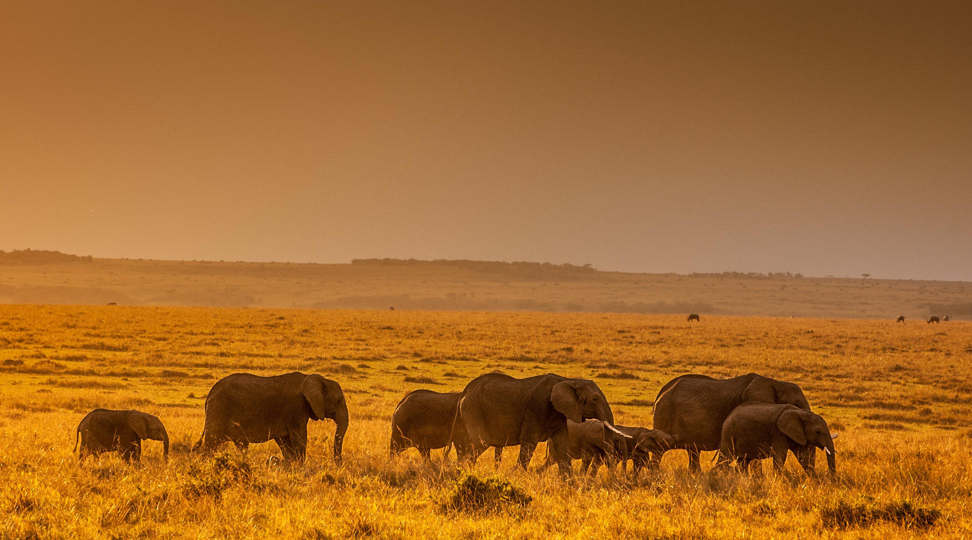 Masai Mara