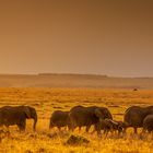 Masai Mara